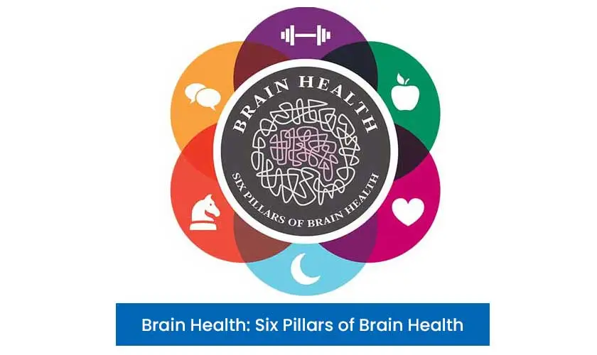 Brain Health: Six Pillars of Brain Health