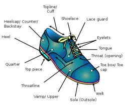Importance of Footwear