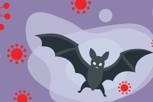 Nipah Virus: Symptoms, Transmission, Treatment & Prevention