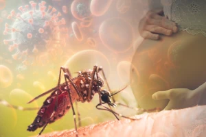 Zika Virus: Symptoms, Treatment and Prevention