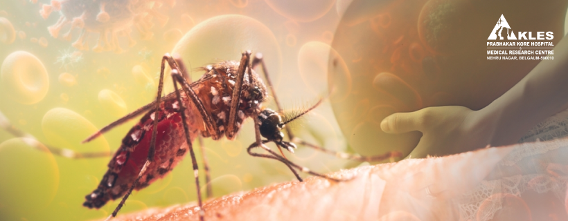 Zika Virus